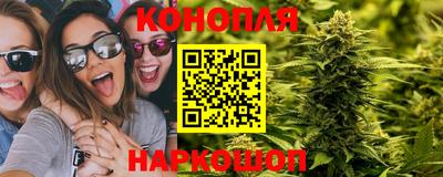 стаф Севастополь