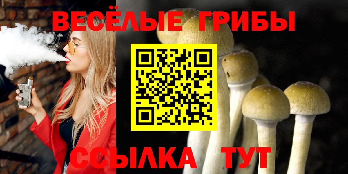 Псилоцибиновые грибы GOLDEN TEACHER  Псилоцибиновые грибы мухоморы  Отрадный  Вход с VPN 