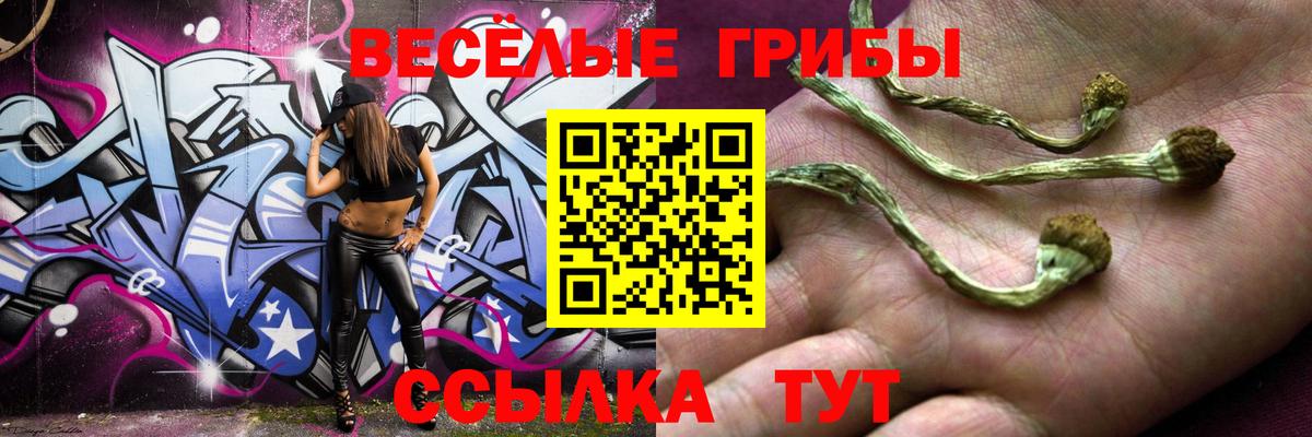 Псилоцибиновые грибы Cubensis Отрадный